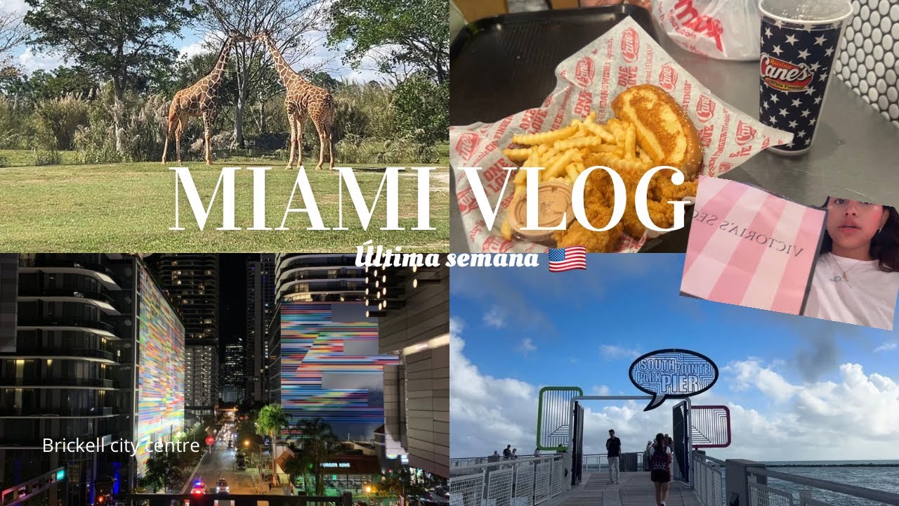 Última semana en Miami ✨🇺🇸