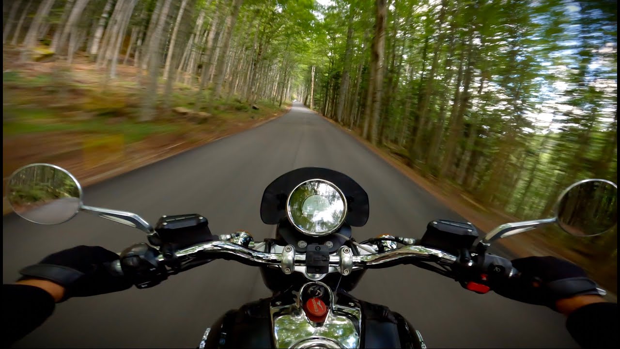 Short ride in the forest⎮MOTO GUZZI CALIFORNIA 1400 CUSTOM