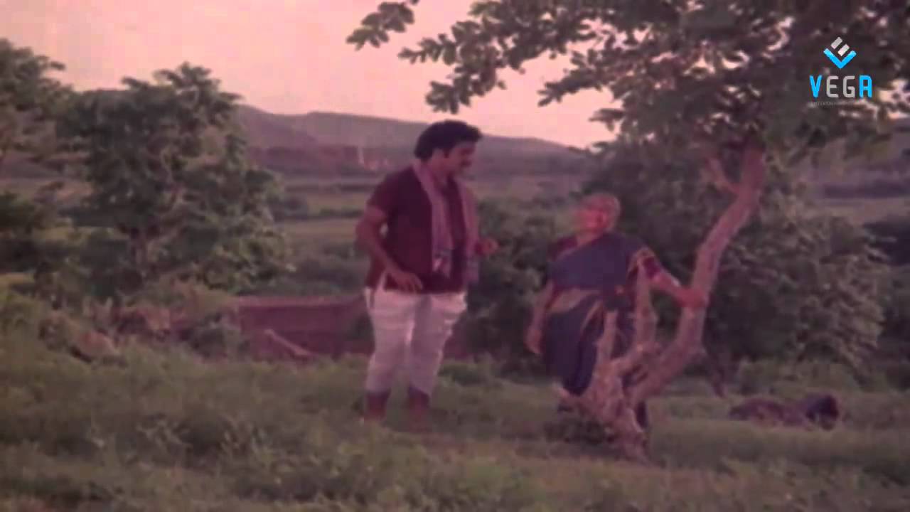 Muddula Krishnayya Movie - Vijayashanti Best Scene