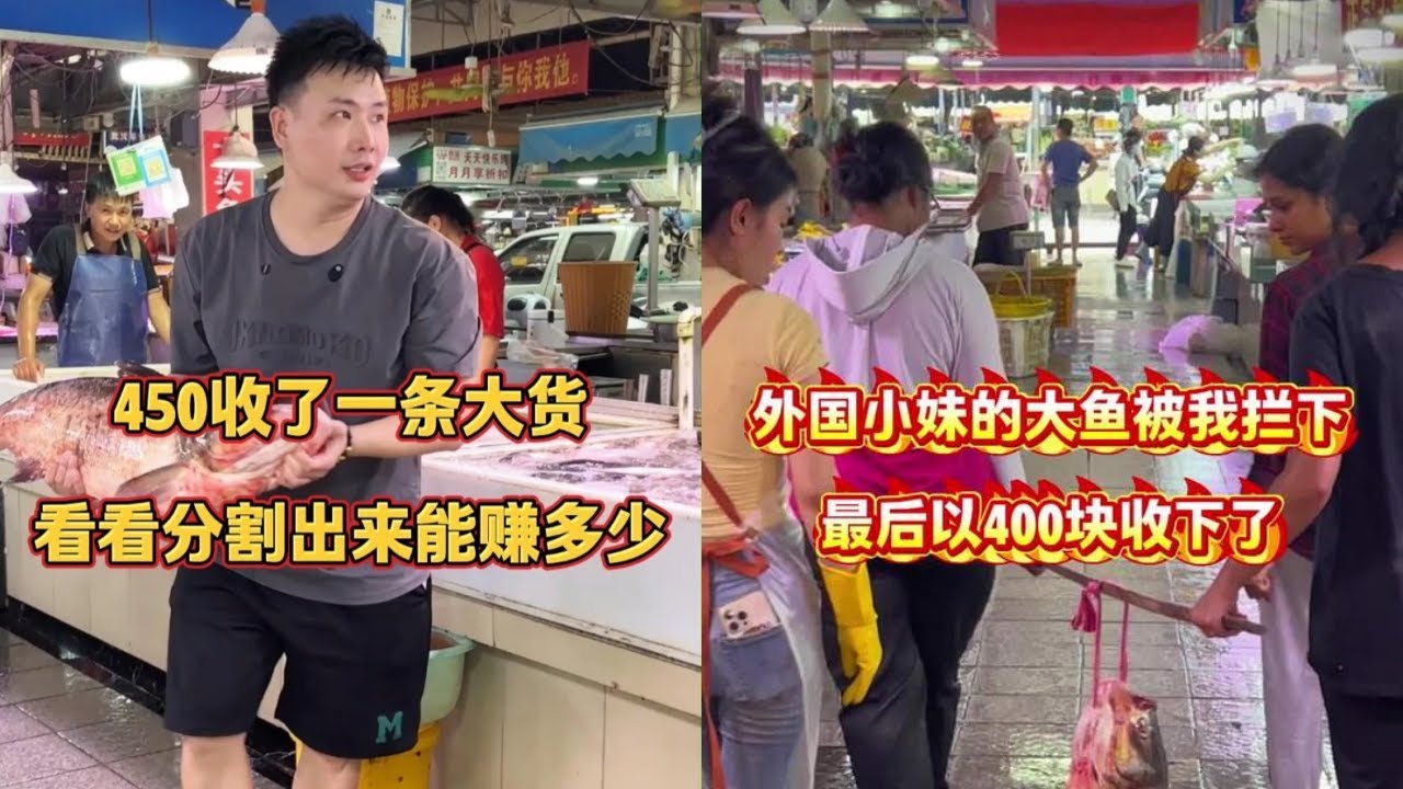 450元收了一条大靓货，看看分割出来能赚多少钱？｜外国小妹的大鱼被我拦下，最终以400元收下！
