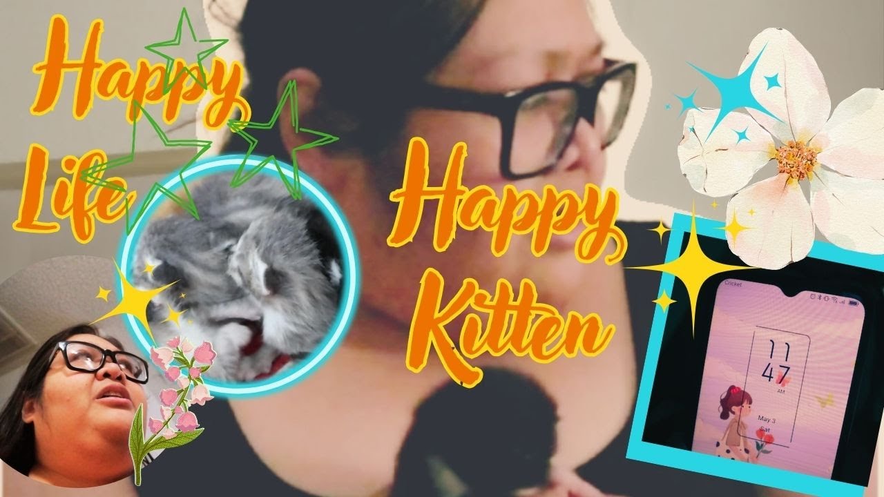 Kitten Rescue, He or She Kitten?, Homebody Fatigue