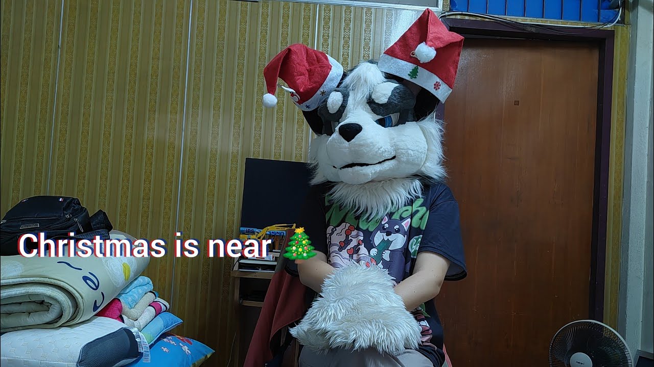 Christmas is near 🎄🦌🎁