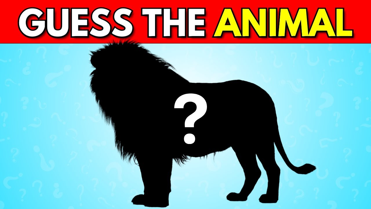 Guess The Animal by Shadow 🦁🦣 | Guess The Animal Quiz