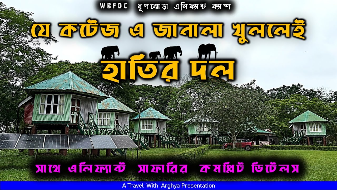 হাতির ডেরায় এক রাত! | WBFDC Dhupjhora Elephant Camp । Elephant Safari Booking Process | Dooars Trip