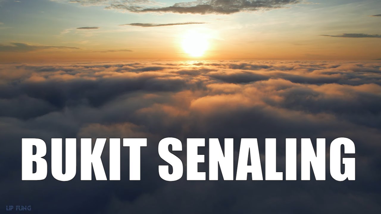 Bukit Senaling, Kuala Pilah | Hiking through the clouds ⁻ ᵇʸ ᵈʳᵒⁿᵉ ⁵ᵏ