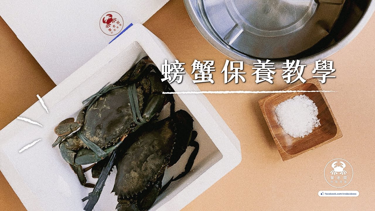 螃蟹保養教學｜蟹老闆x螃蟹專賣