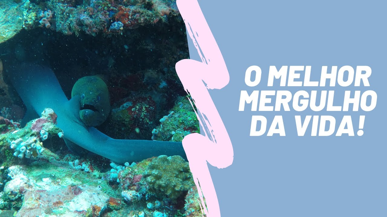MELHOR MERGULHO DA VIDA | FLORES / KOMODO - INDONESIA | Felippe e Mayara