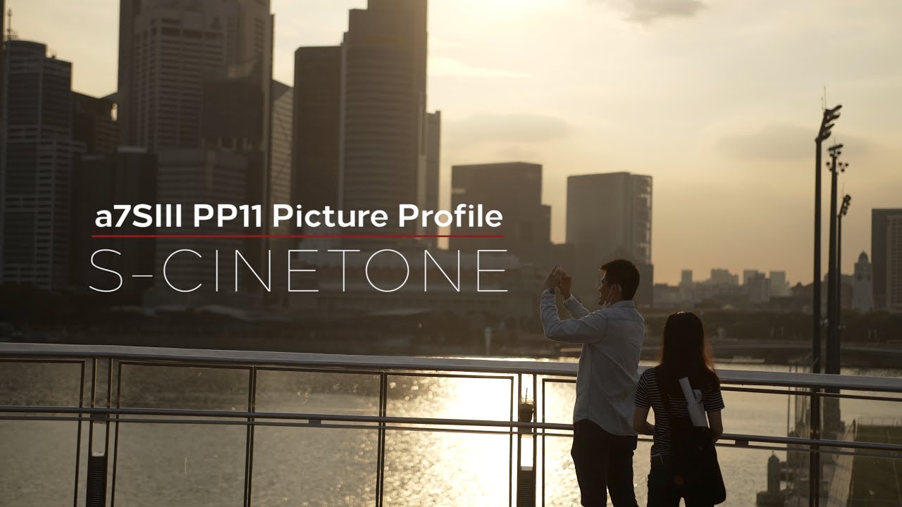 Sony a7SIII S-Cinetone Cinematic Vlog (Picture Profile PP 11)