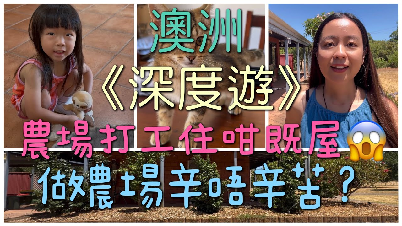 🇦🇺澳洲《深度遊》原來農場打工住咁樣既地方😱農場工作又係咪好辛苦呢？🤔