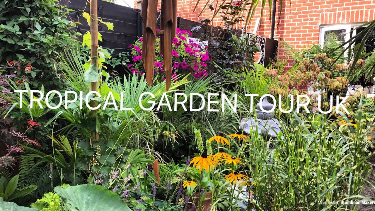 Tropical garden tour uk! August 2018