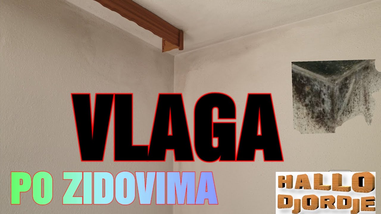 Kako Zaustaviti  Vlagu /Riješi se Plijesni i Buđi