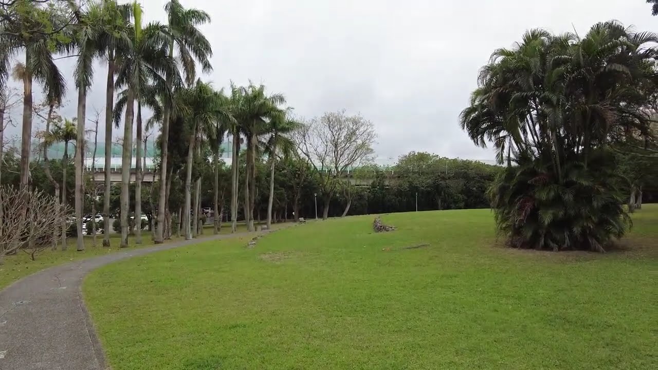 【戴老師日常】春天的氣息開始出現。