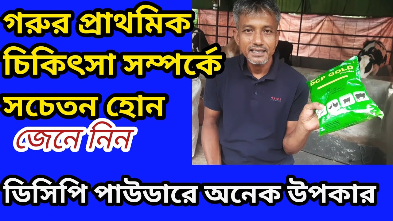 গরুর অনেক রোগের  চিকিৎসায়  (D C P Gold)  ডিসিপি পাউডারে অনেক উপকার ।