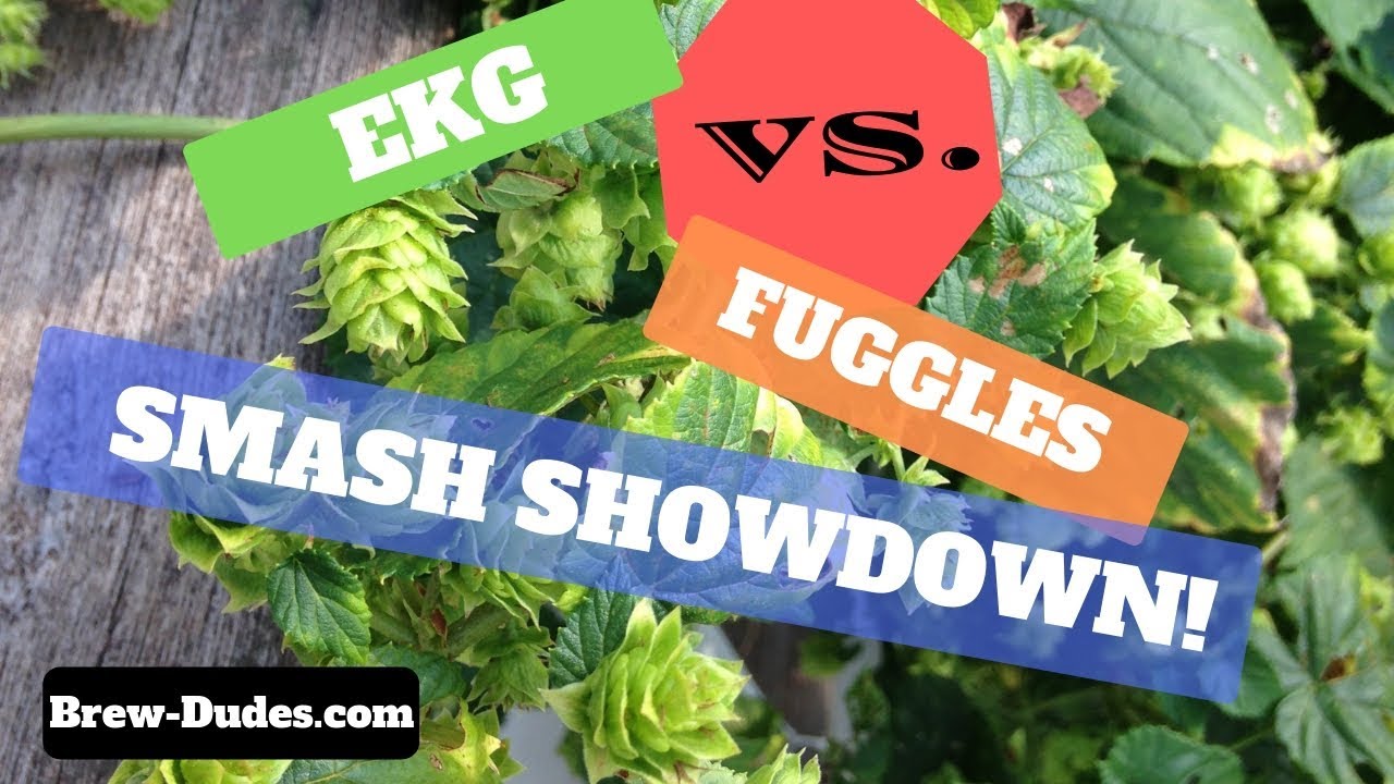 SMaSH Beer Showdown - East Kent Golding vs. Fuggles