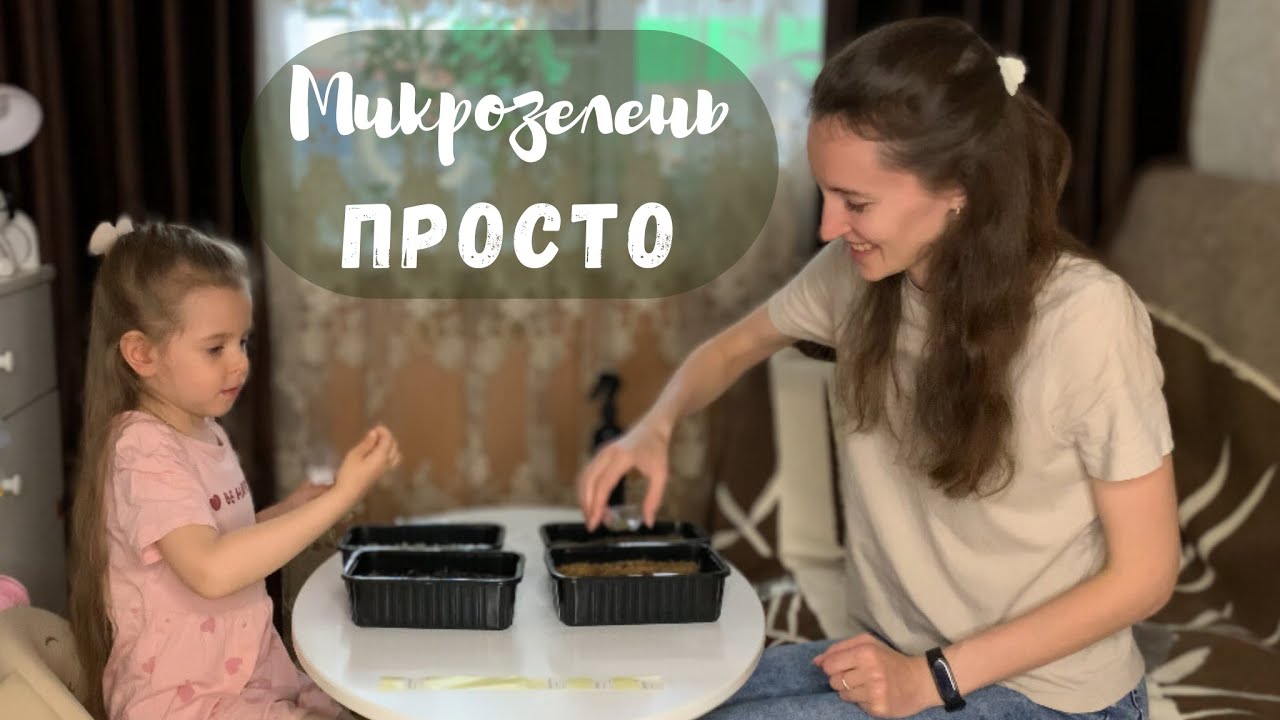 SUB Микрозелень от зерна до блюда: детская версия садоводства