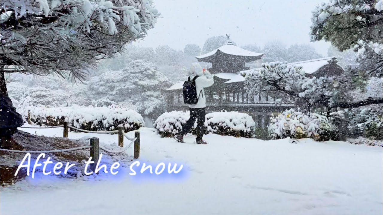 A Quiet Day at Home After Heian Shrine | Snowy Kyoto Vlog
