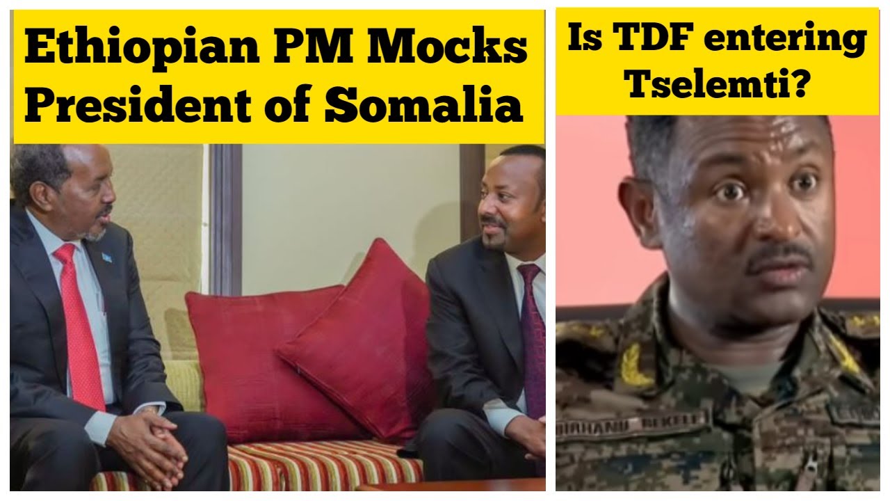 Ethiopian Prime Minister Mocks the President of Somalia | Is TDF entering Tselemti?