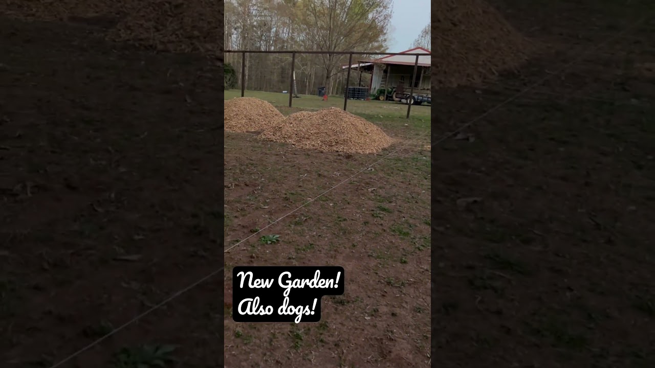 Walking into the new spring herb garden!         etsy.com/shop/FivePointsApothecary