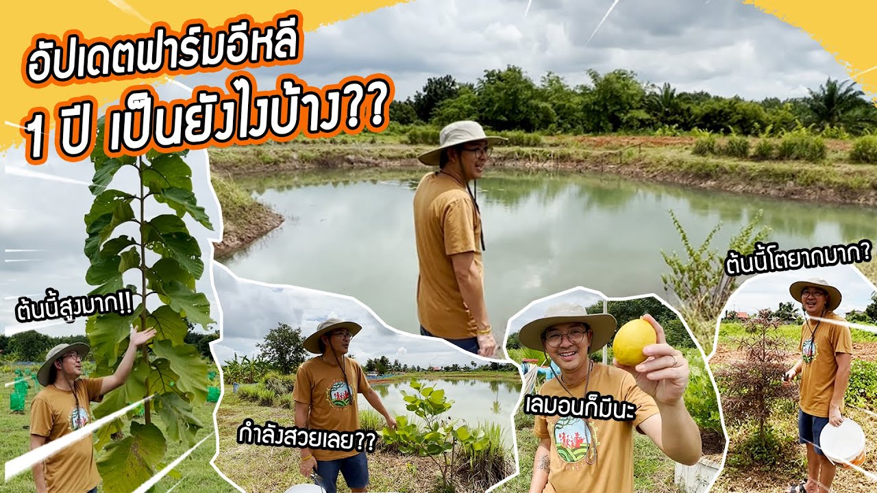 ฟาร์มอีหลี EP.27 | อัปเดตฟาร์มอีหลี 1 ปีเป็นยังไงบ้าง?!!