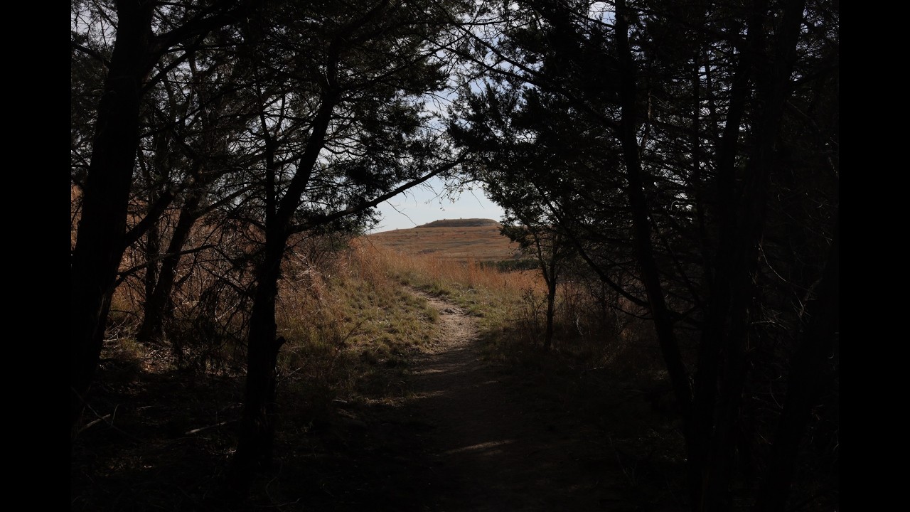 At the Steps of Texas Hill Country