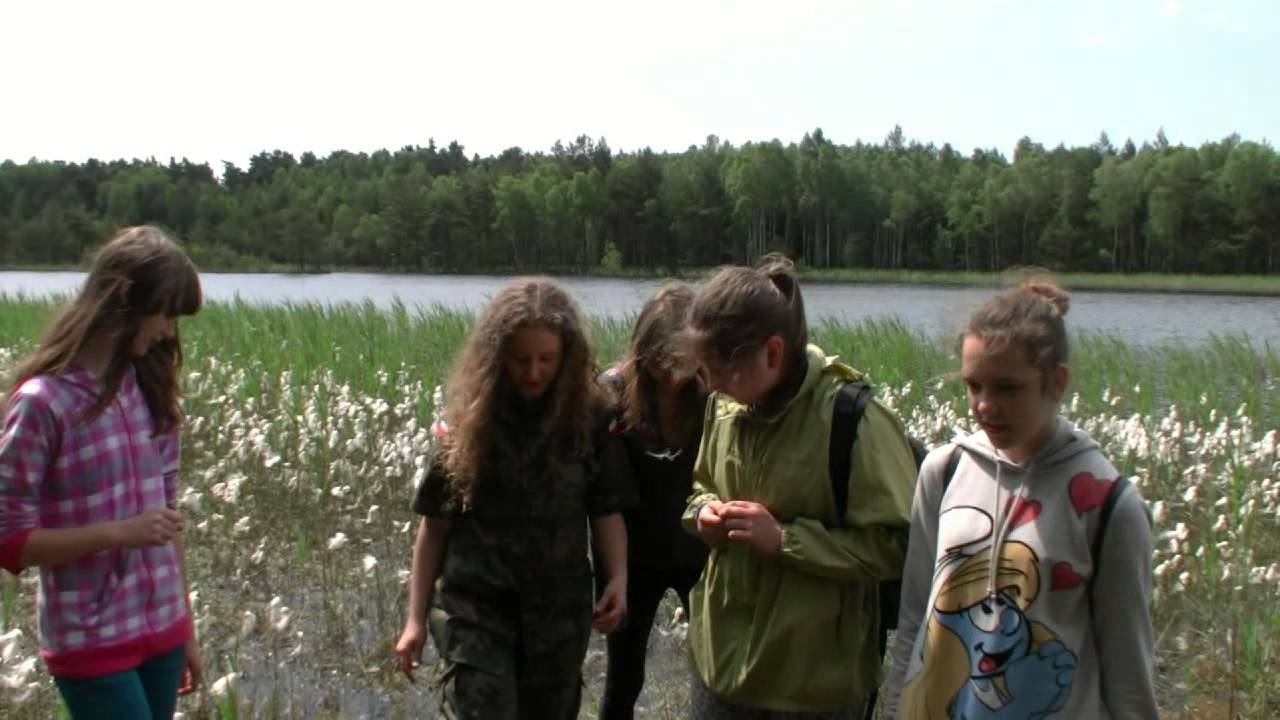 Puszczańskie torfowisko - dzień 1