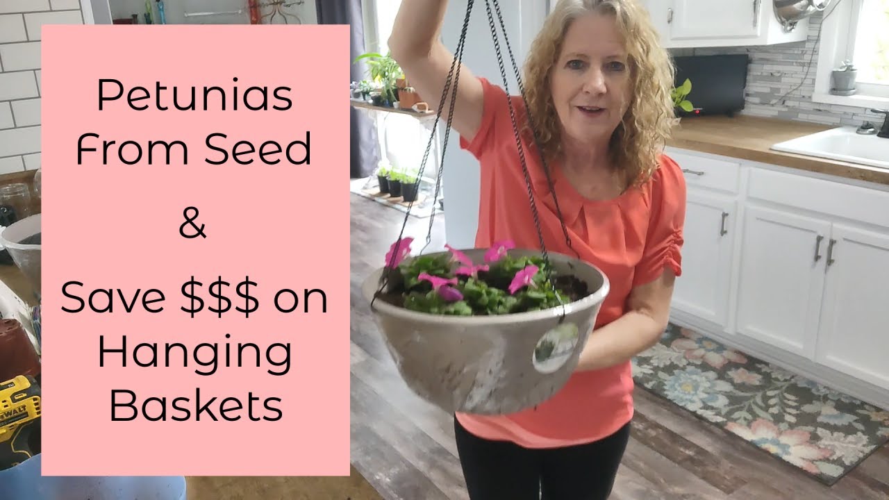 Petunia From Seed and DIY Hanging Baskets