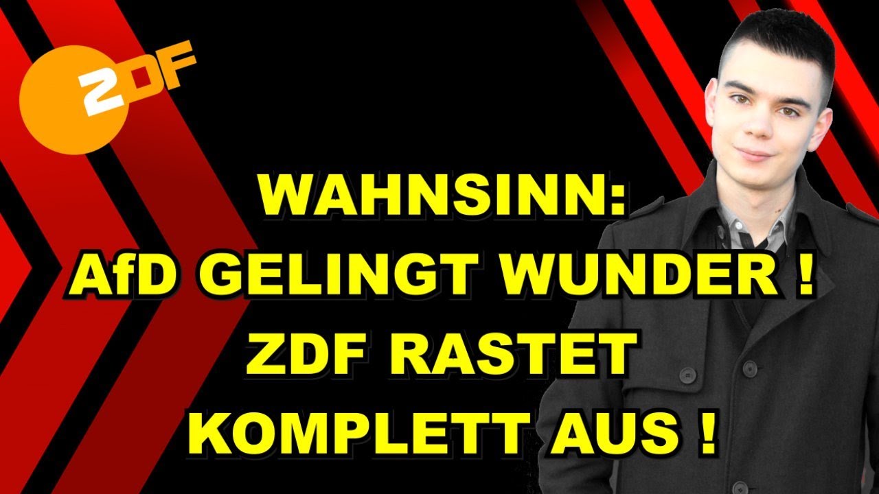 AfD gelingt WUNDER! ZDF RASTET AUS!