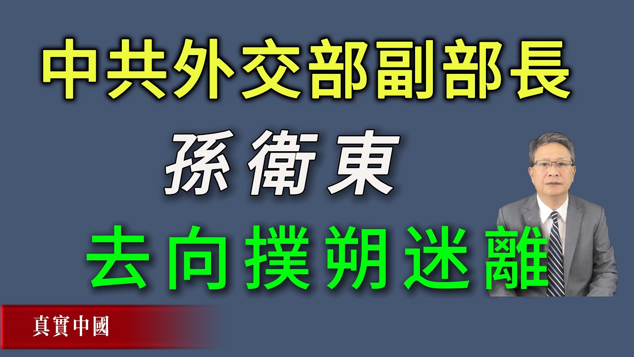 外交部副部長孫衛東去向撲朔迷離！《真實中國》