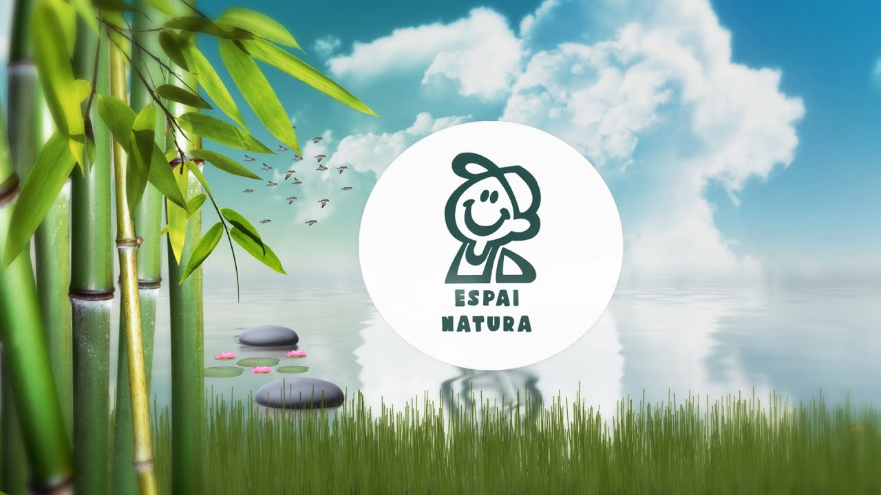 Cicle Mitjà a l'Espai Natura