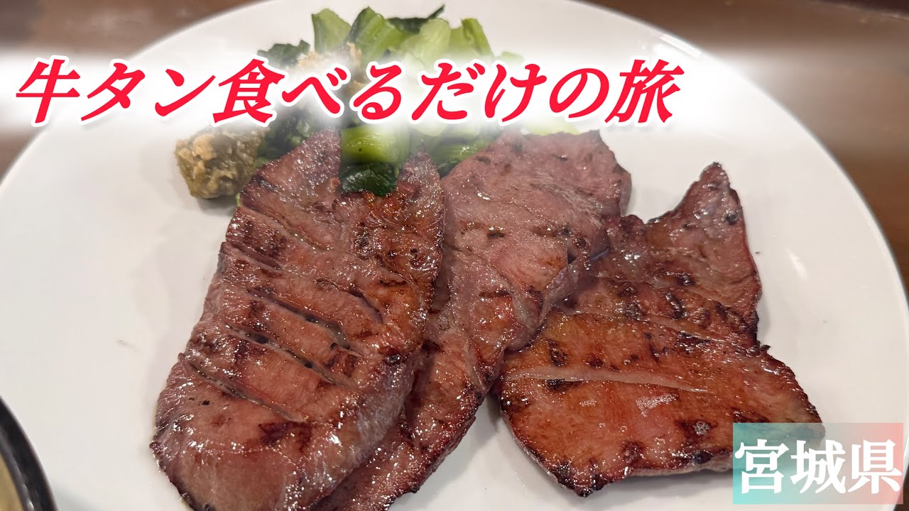 【即帰宅】牛タン食べたら帰らなきゃ行けない旅が短すぎた！　#仙台 #白石城
