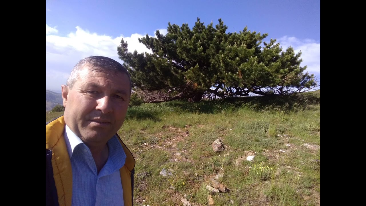 Fikret Metin Deştiğin Esintileri 2