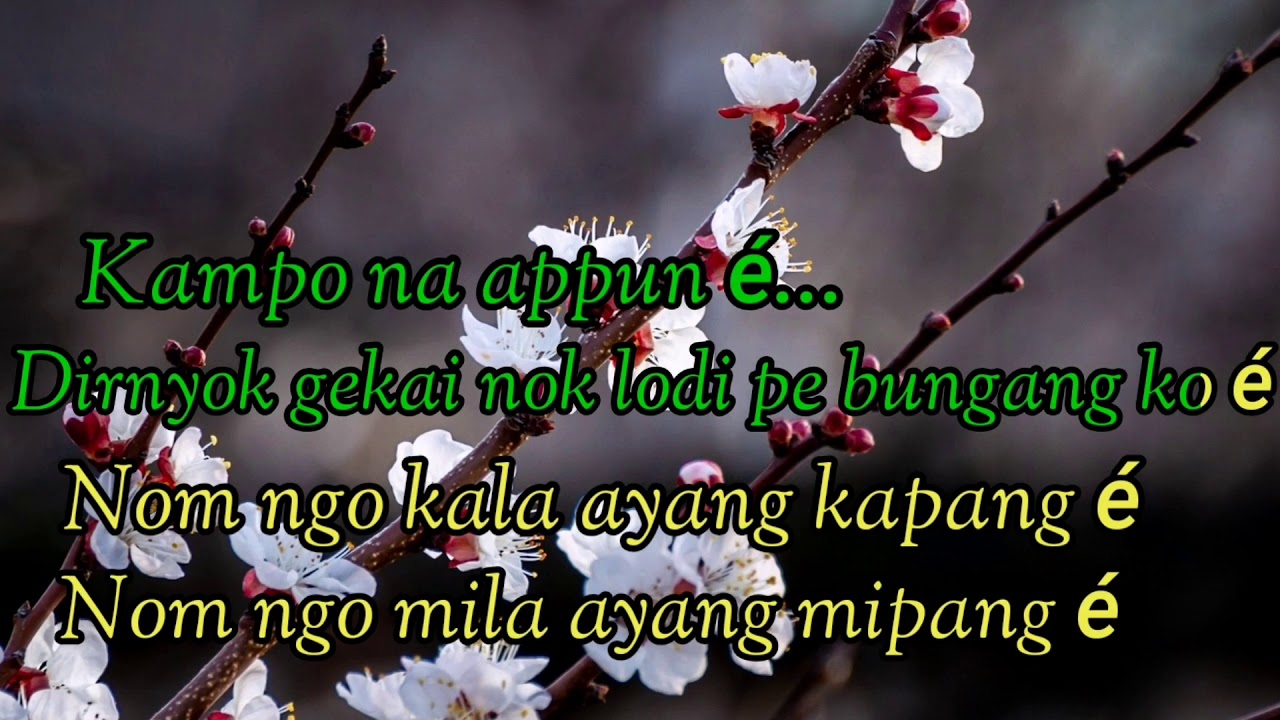 Delang Ku Pettang é Karaoke // Adi Song //  Lomyuk Lego