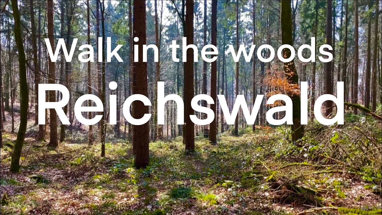 Wandeling door het Reichswald