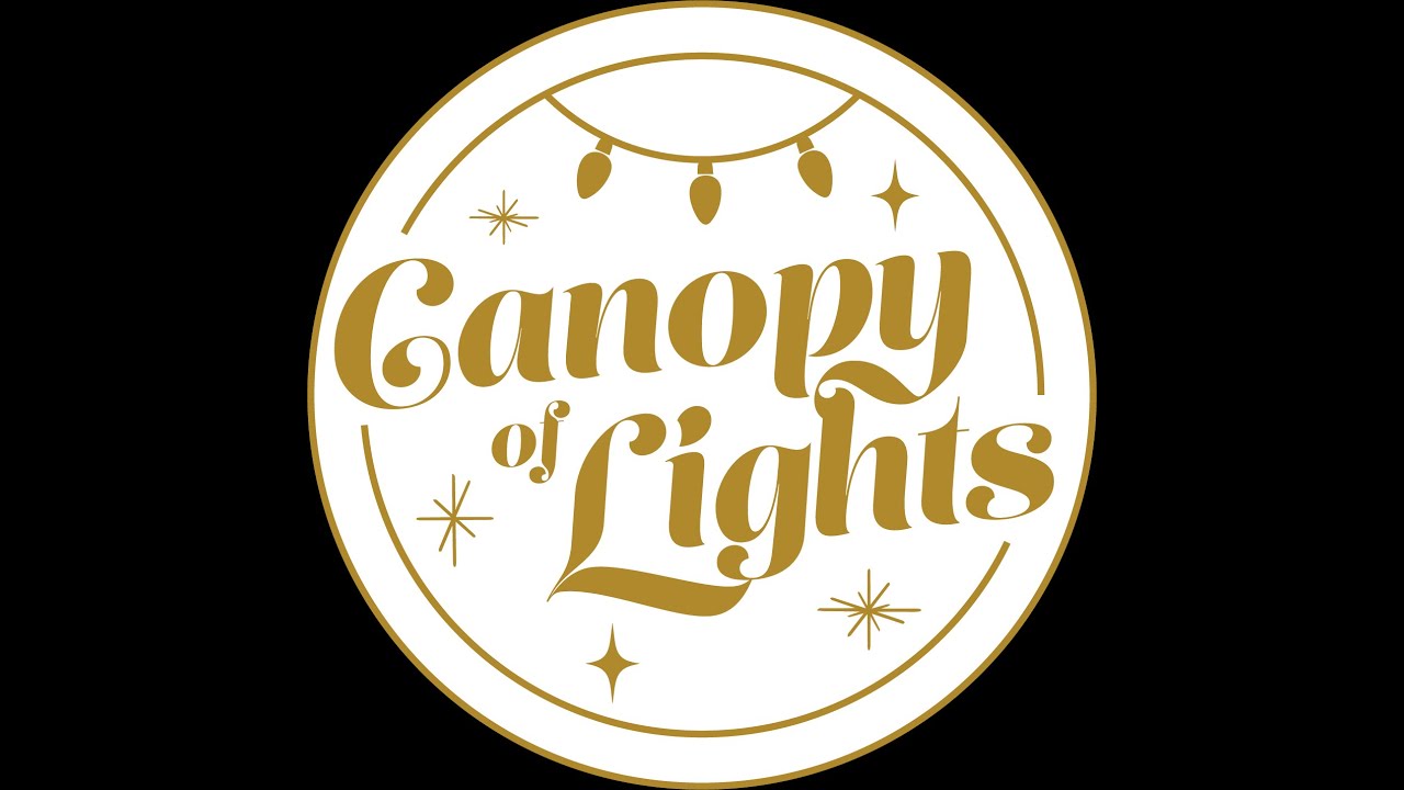 Virtual Lighting Canopy of Lights 2020