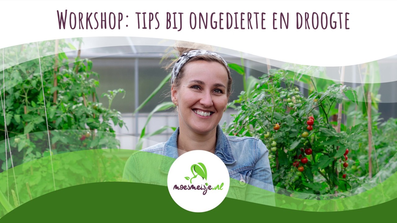 WORKSHOP: Moestuintips voor de maand Juni
