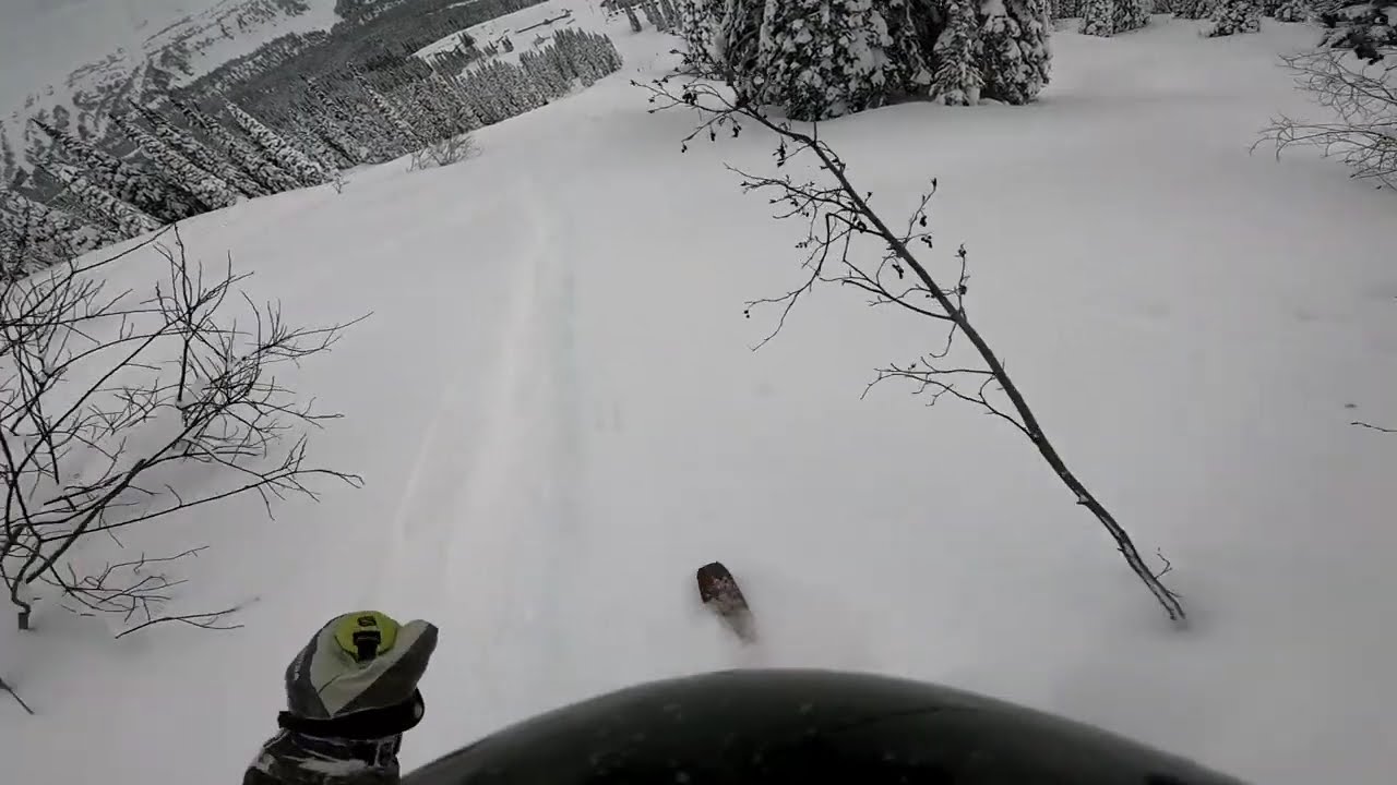 Powder King - 61 centimeters of fresh powder - Jan 8 2026