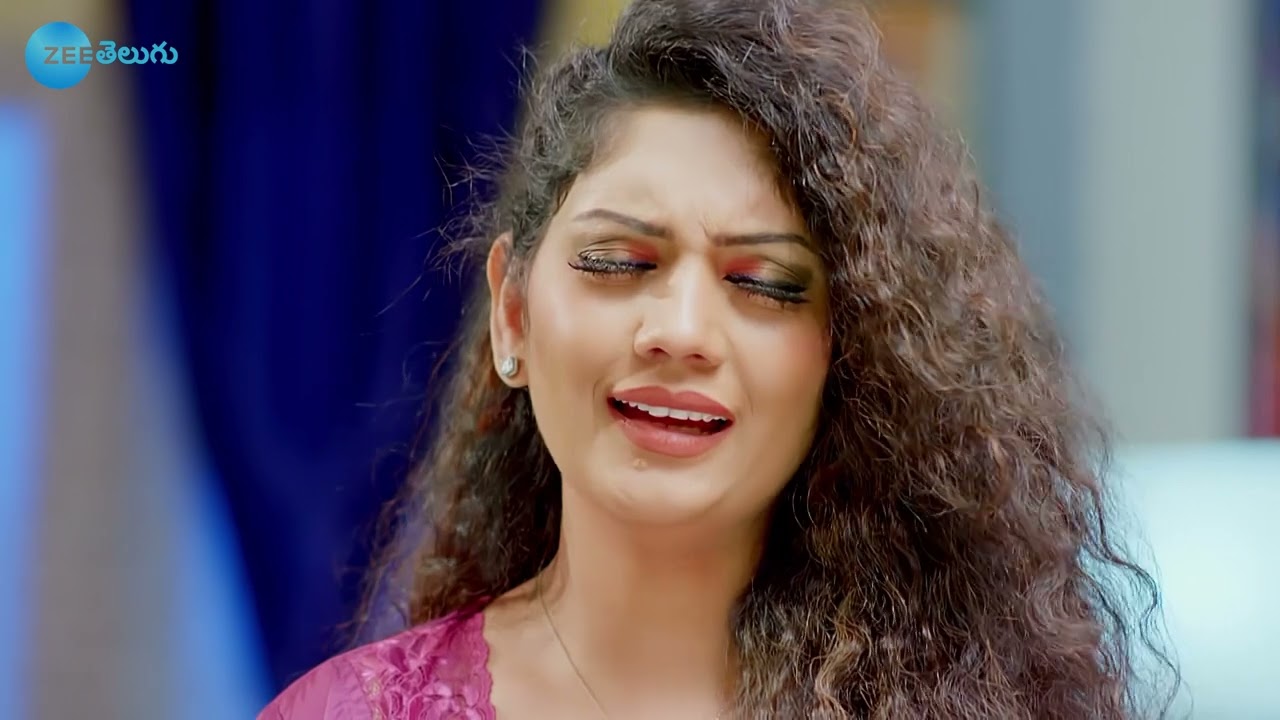 Vaidehi Parinayam - వైదేహి పరిణయం - Telugu Serial - EP - 207 - Karuna Bhushan - Zee Telugu