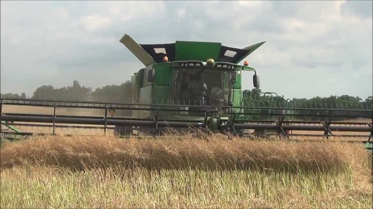 Direct Cut Winter Canola Harvest, Hopkinsville, KY