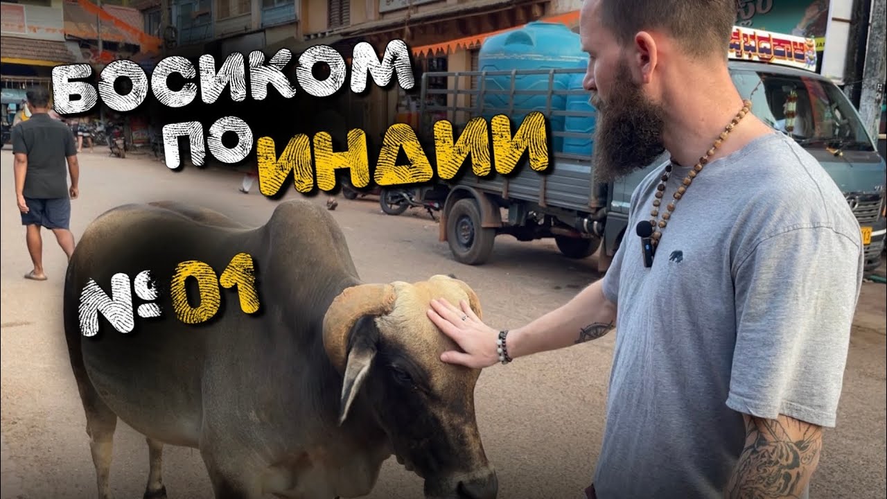 Басиком по Индии. На свидание через вонь и горы мусора😁