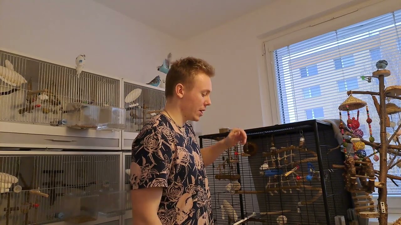 Jak poznat kvalitní krmnou směs