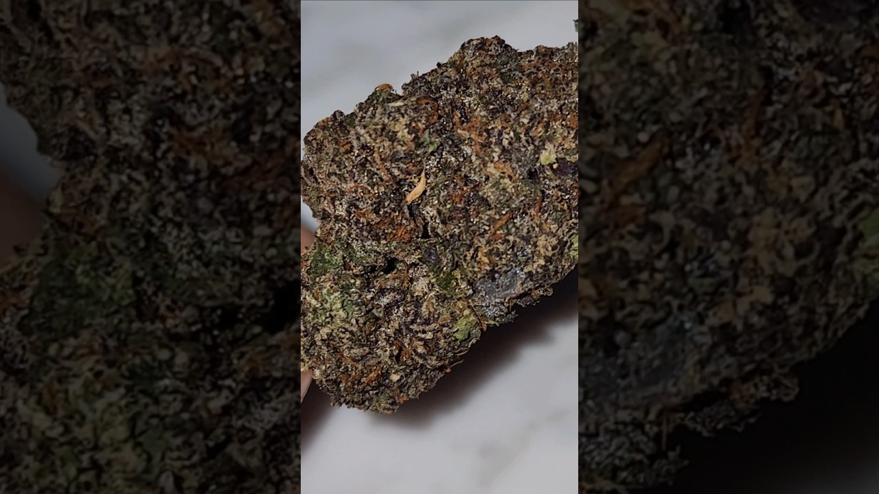 Pink Panties Strain #shorts
