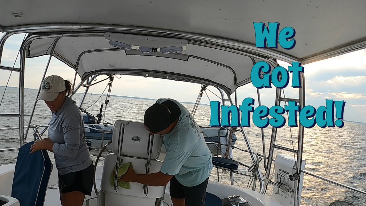 We Got Infested 🦟 Cruising the ICW