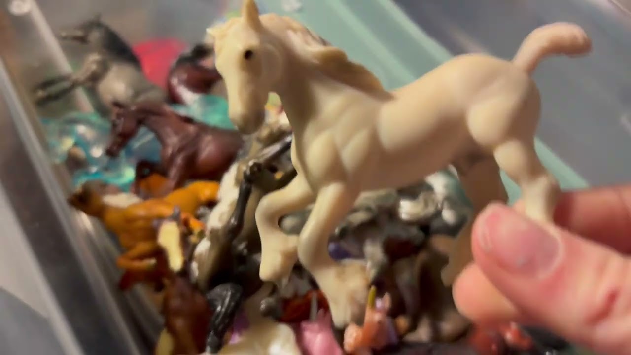 Let me show you all my stablemates