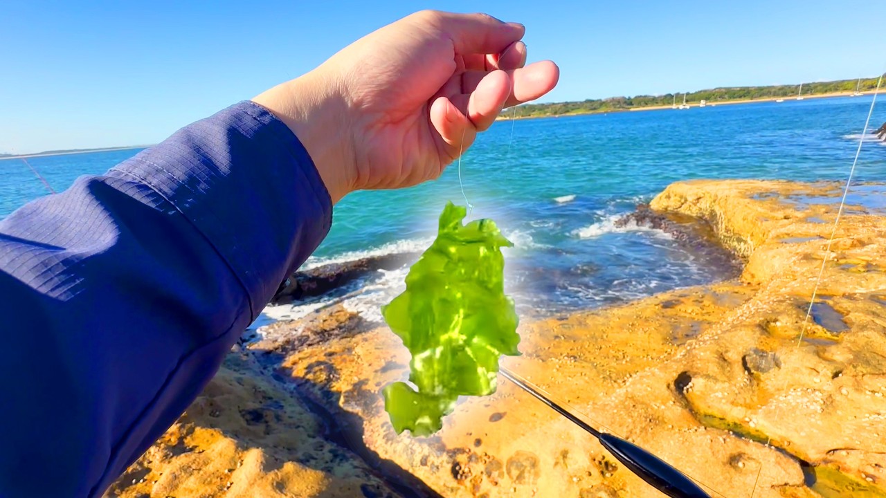 Rock fishing with cabbage weed! (Surprising results)