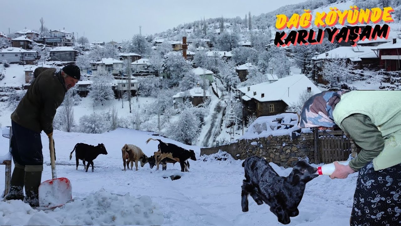 Anadolu’da Kış: Karlar Altında Bir  SABAH ! BELGESEL