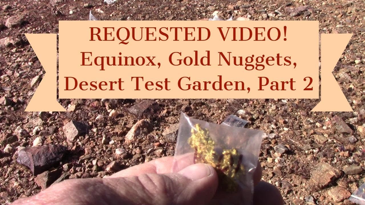 Equinox 800 Gold and Trash Desert Test Garden, часть 2