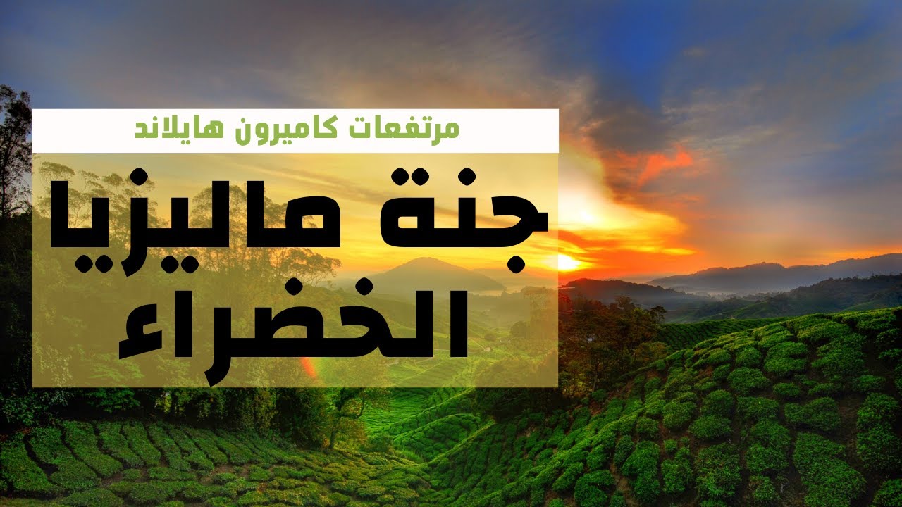مرتفعات كاميرون هايلاند ماليزيا - افضل الاماكن السياحية في ماليزيا