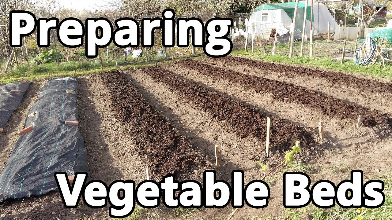 Preparing Vegetable Beds