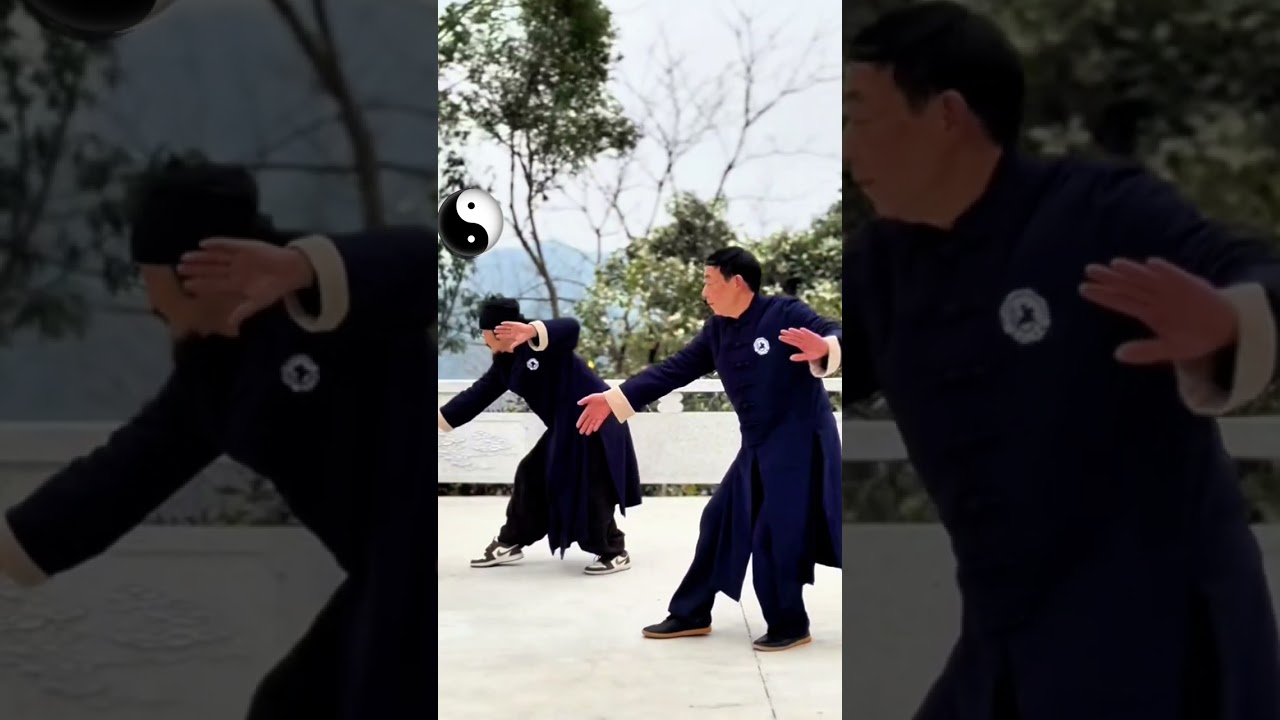 ☯️ Habilidad del Dragón Errante Taiyi del Maestro Wudang. Taichi Asoc.