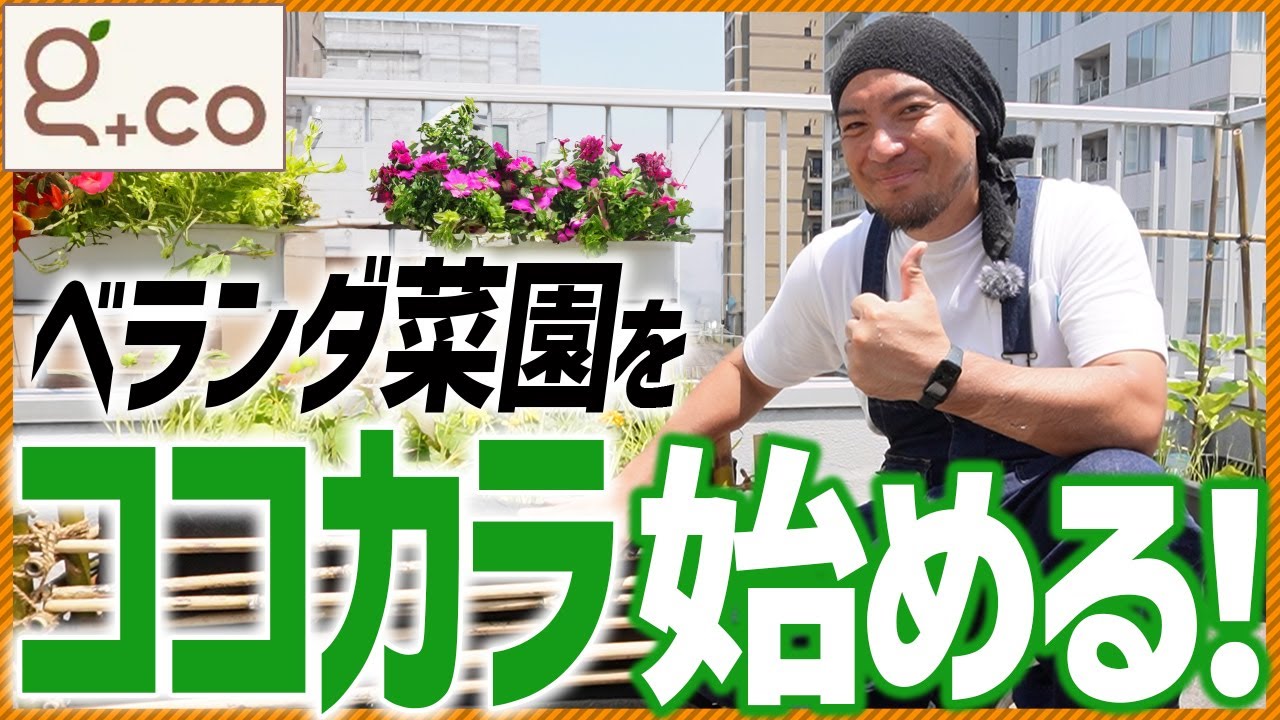 【ベランダで家庭菜園を始めよう】簡単！捨てられる物だけで家庭菜園！！